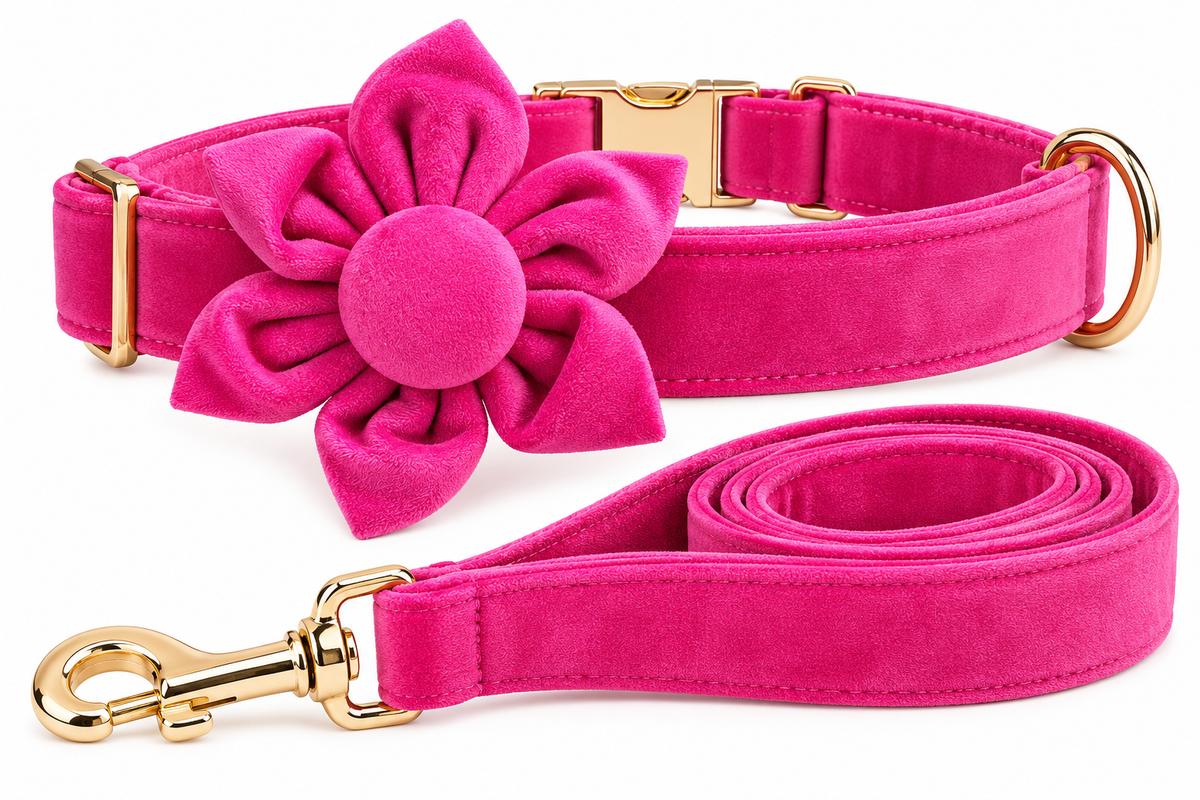 Pink velvet dog collar with detachable flower and matching 1.5 metre leash