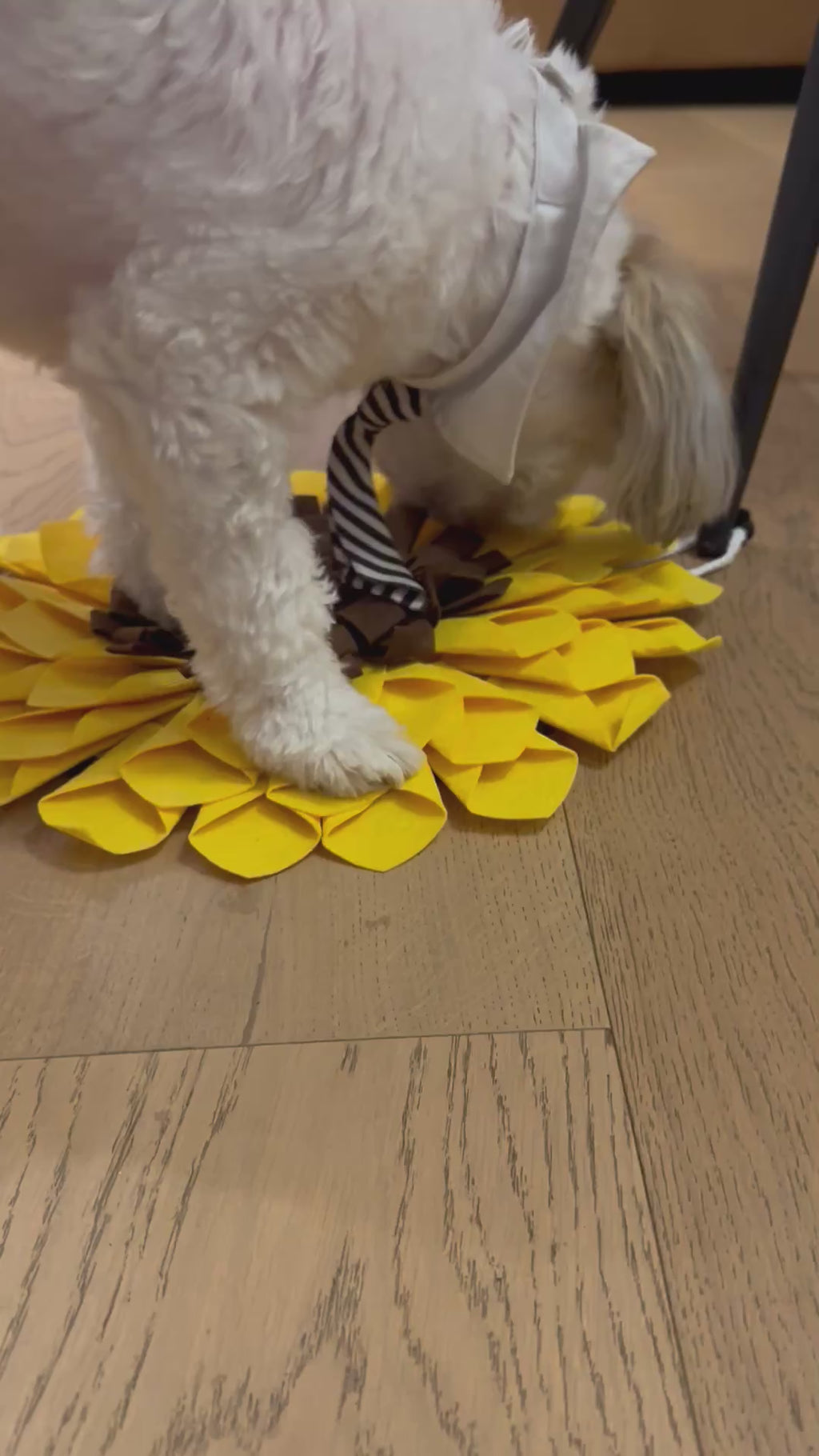 Sunflower Snuffle Mat for Dogs