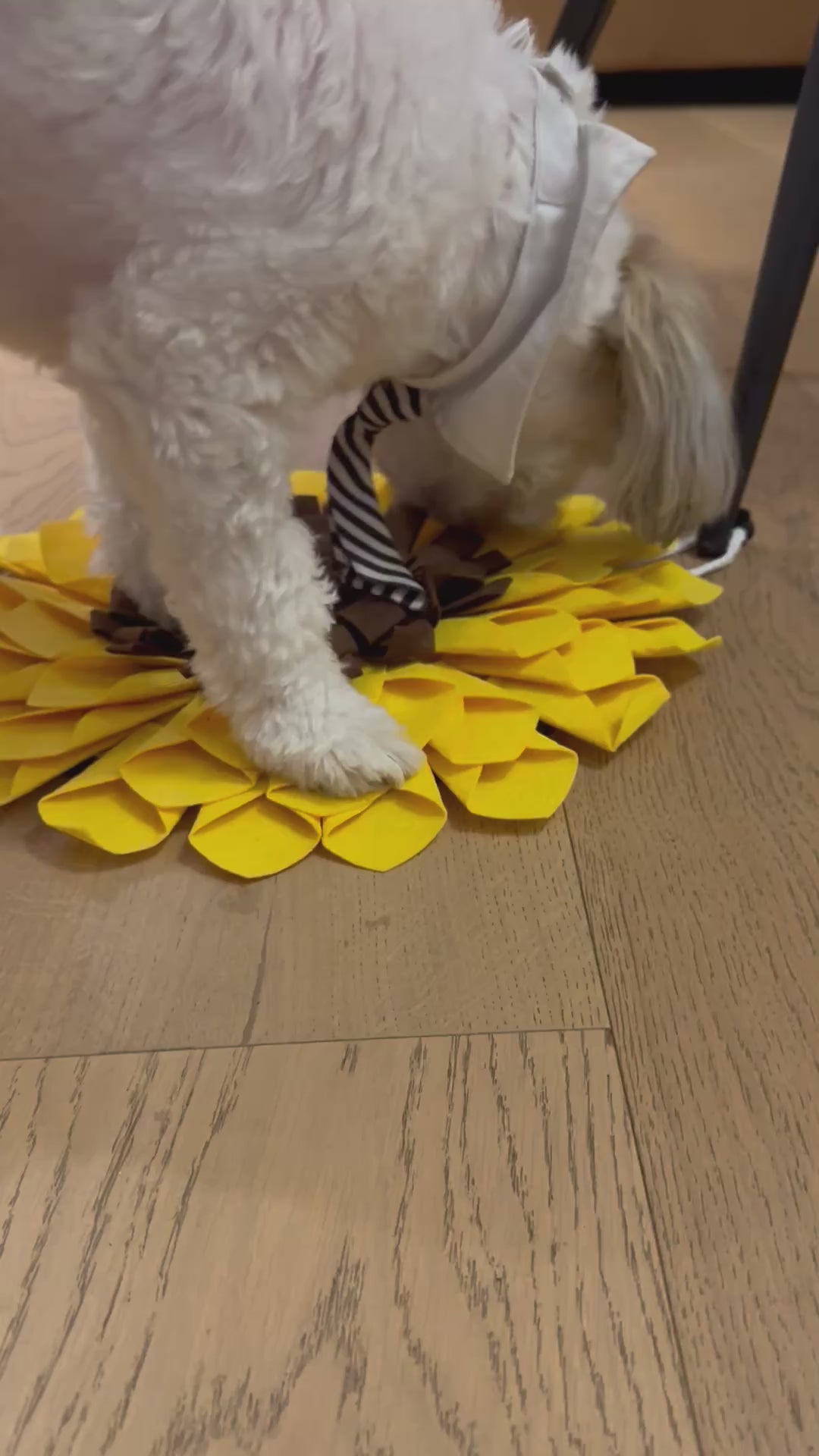 Sunflower Snuffle Mat for Dogs