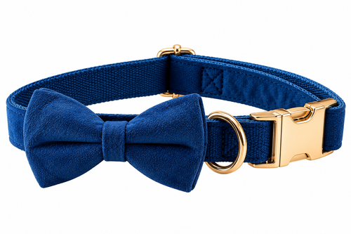 Royal blue velvet dog collar with detachable bow and gold hardware on white background