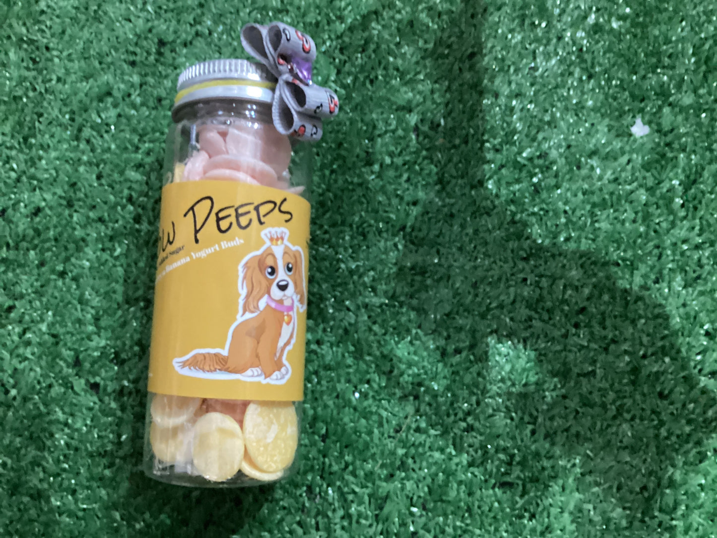 Strawberry & Banana Yoghurt Buds for dogs and cats